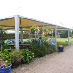 P1000766